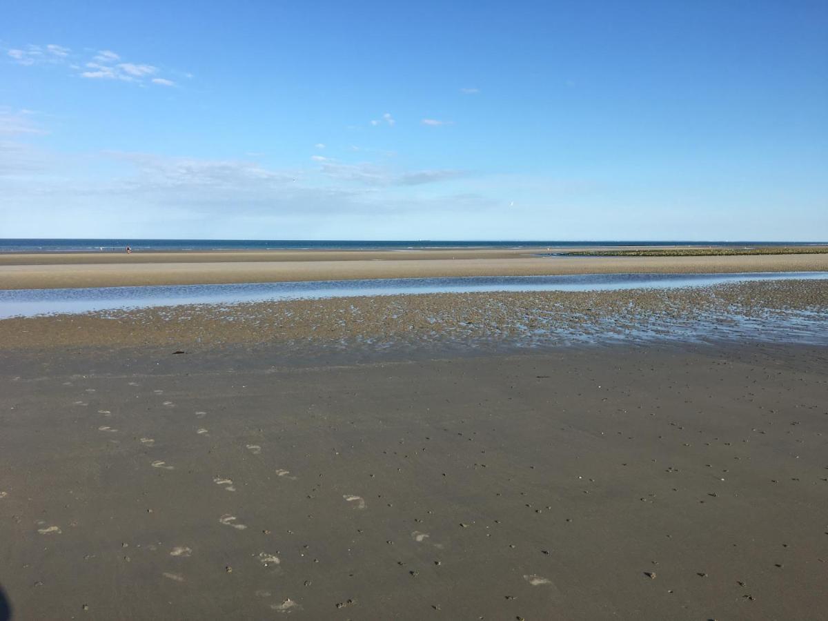 La Vue D'en , Duplex A La Naturelle Sur La Cote D'opale * Wimereux